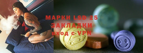 ГАЛЛЮЦИНОГЕННЫЕ ГРИБЫ Вязьма
