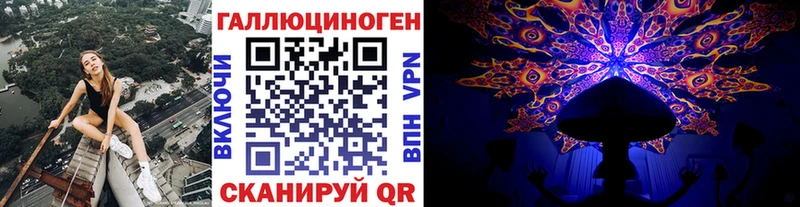 Псилоцибиновые грибы Cubensis hydra как зайти Зеленоградск